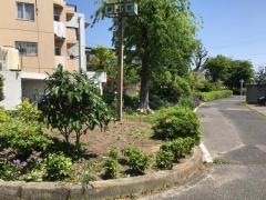 土居下街園