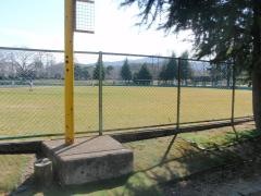 運動公園野球場