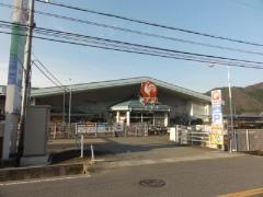 コメリハード＆グリーン　出石店