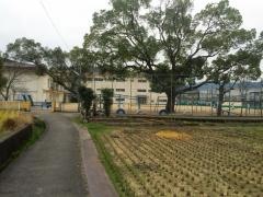 中野上小学校