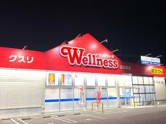 ドラッグストアウェルネス古志原店