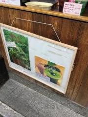 石畳