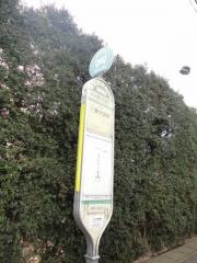「丸ケ崎火の見下」バス停留所
