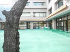 浜町保育園
