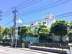 わかばの森保育園