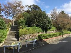 小黒公園