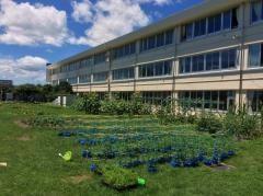 美南ガ丘小学校