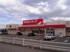 ツルハドラッグ　駒ヶ根店