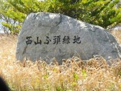 西山ふ頭緑地