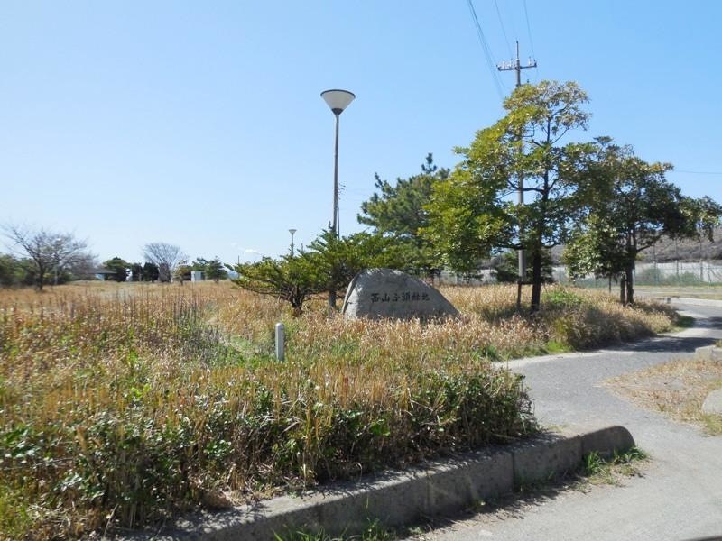 風景