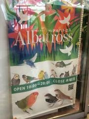 ＢＩＲＤ　ＰＲＯ　ＳＨＯＰ　アルバトロス