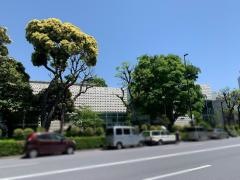 スターバックスコーヒー　代官山蔦屋書店