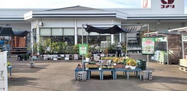 コメリハード＆グリーン　田万川店