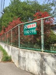 野田市立川間中学校