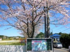 西小学校