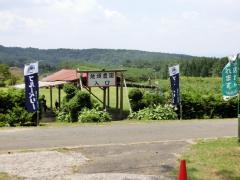 ブルーベリー地頭農園