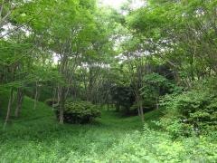 瀬戸町森林公園