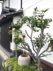 辻勝