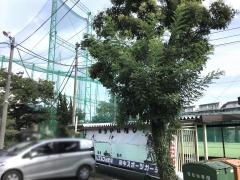 府中スポーツガーデン