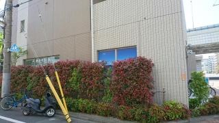 斉藤歯科医院