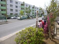 「汐見台三丁目」バス停留所