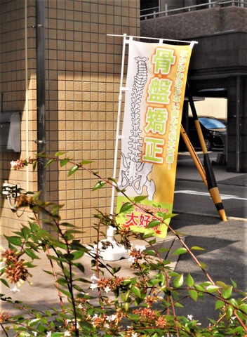 ぬく森接骨院のぼり旗