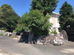 八媛病院