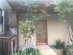 スシヨシダ