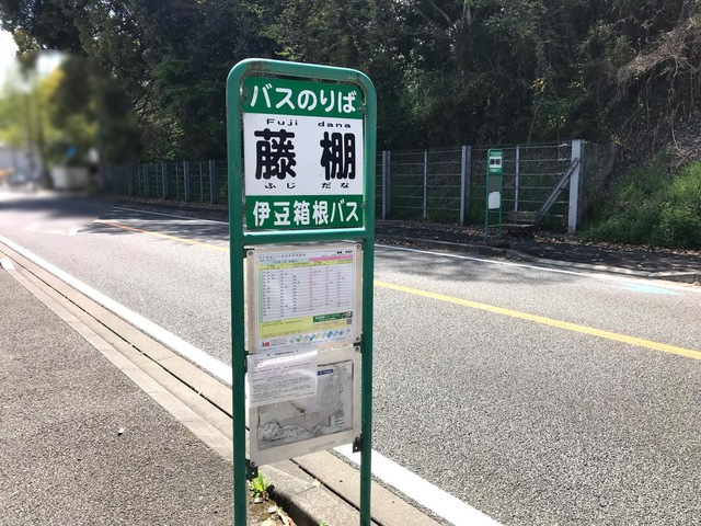 投稿写真1