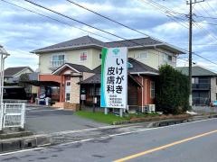 いけがき皮膚科