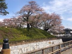 壬生町城址公園