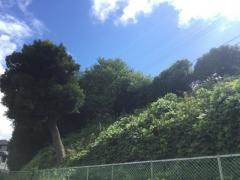 江原台三号緑地