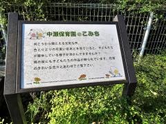 中瀬保育園
