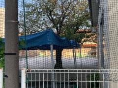 鈴ケ森めばえ幼稚園