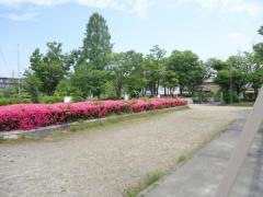 さつき近隣公園