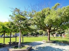 西松原緑地