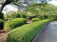 杉水公園