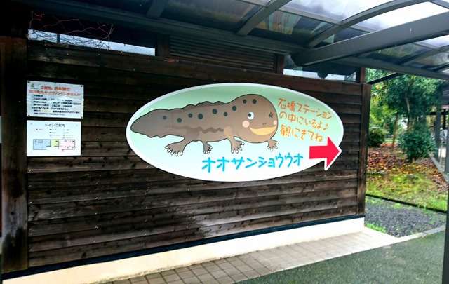 施設写真9