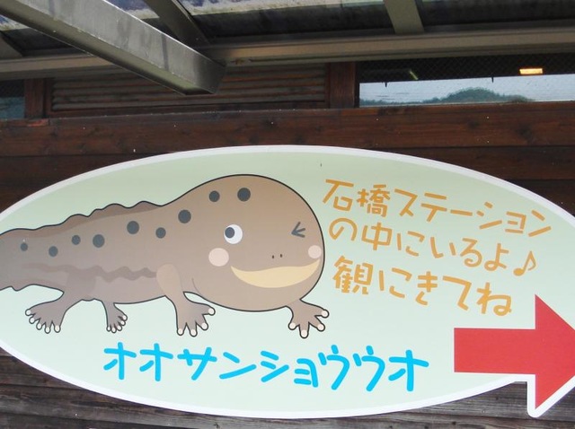 施設写真16