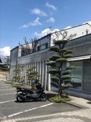 樫本内科