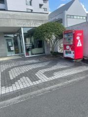 樫本内科