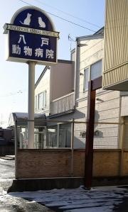 アニマルケアセンター　八戸動物病院