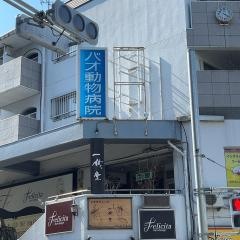 バオ動物病院