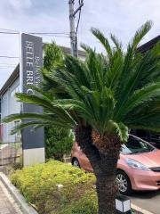ベル・ブラージュ