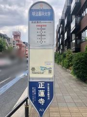 「明治薬科大学」バス停留所