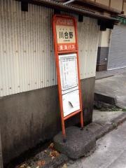 「川合野(河津町)」バス停留所