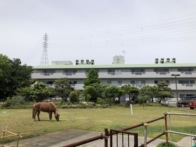 横須賀グリーンヒル 雰囲気