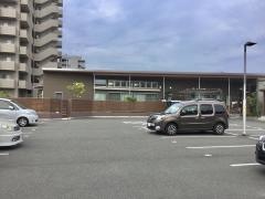 マロニエの樹