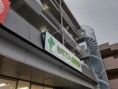 さぼてん接骨院