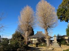 吉祥寺